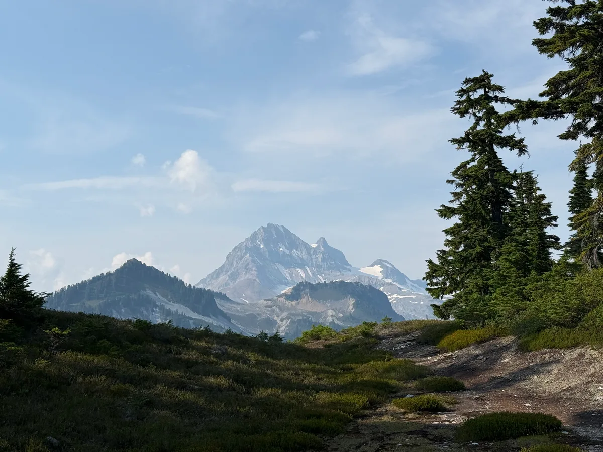 A rocky trail between evergreens with a mountain peak in the distance