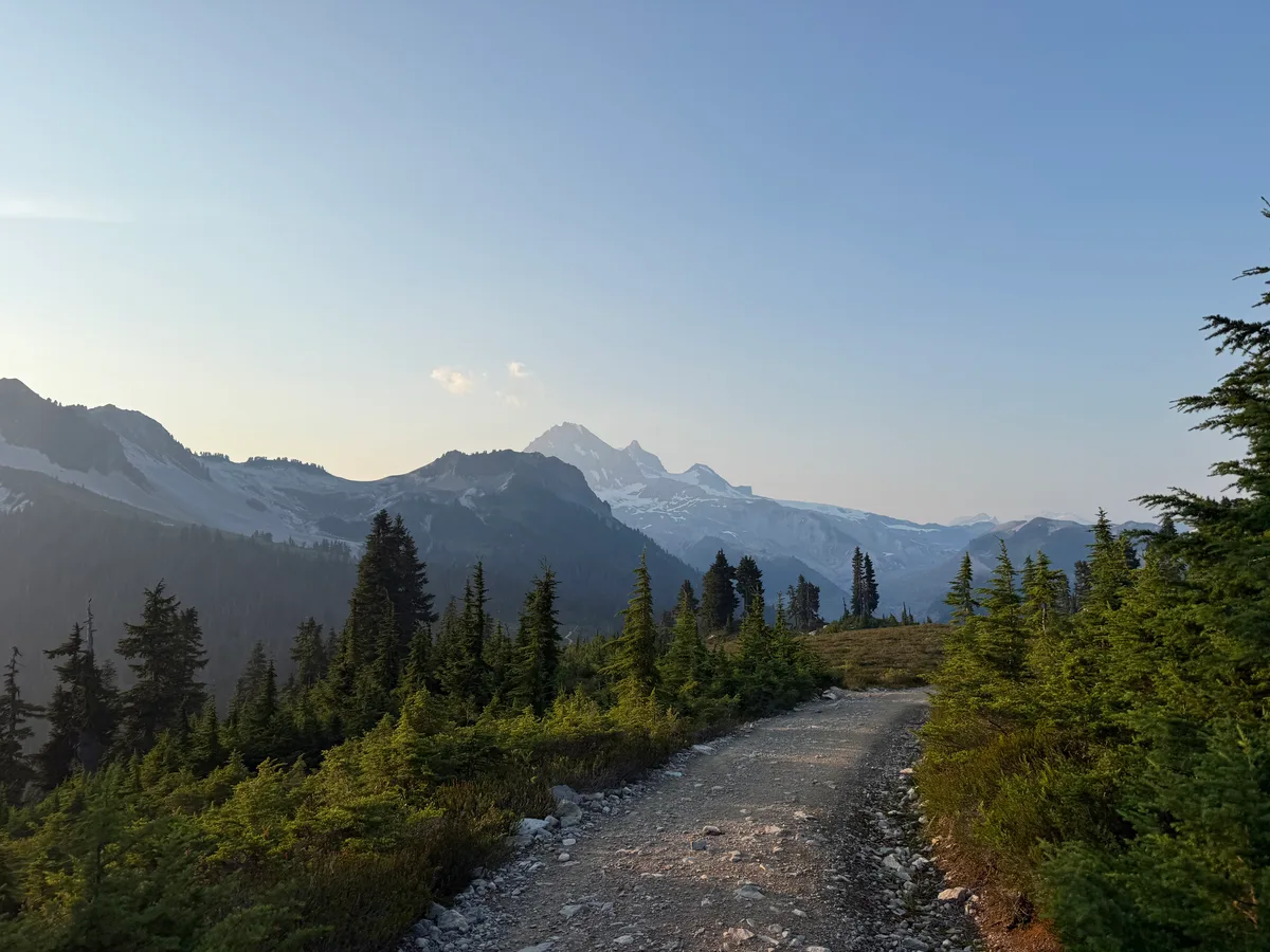 A gravel trail winding through evergreens with mountains beyond
