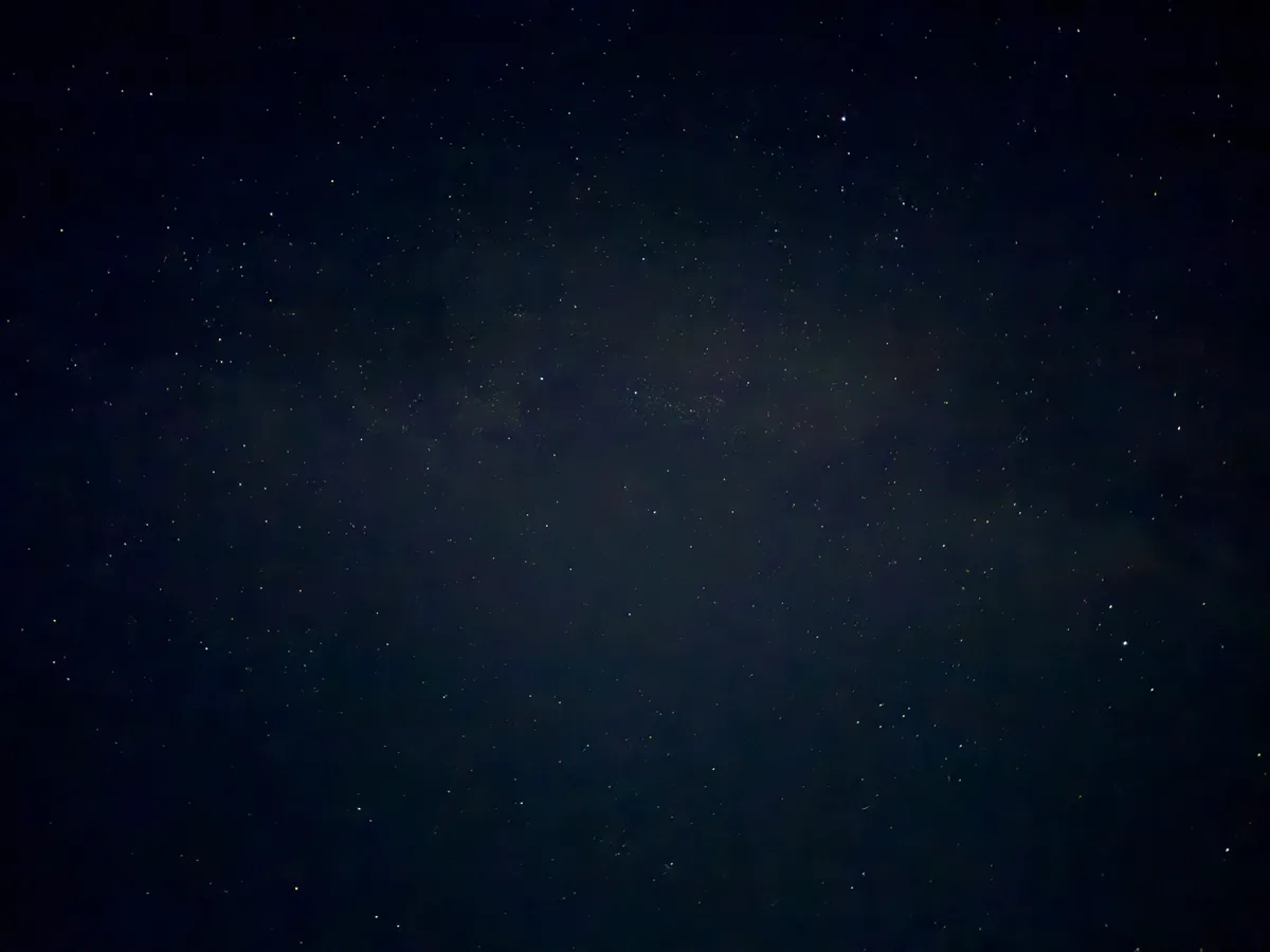 Stars scattered across the dark night sky