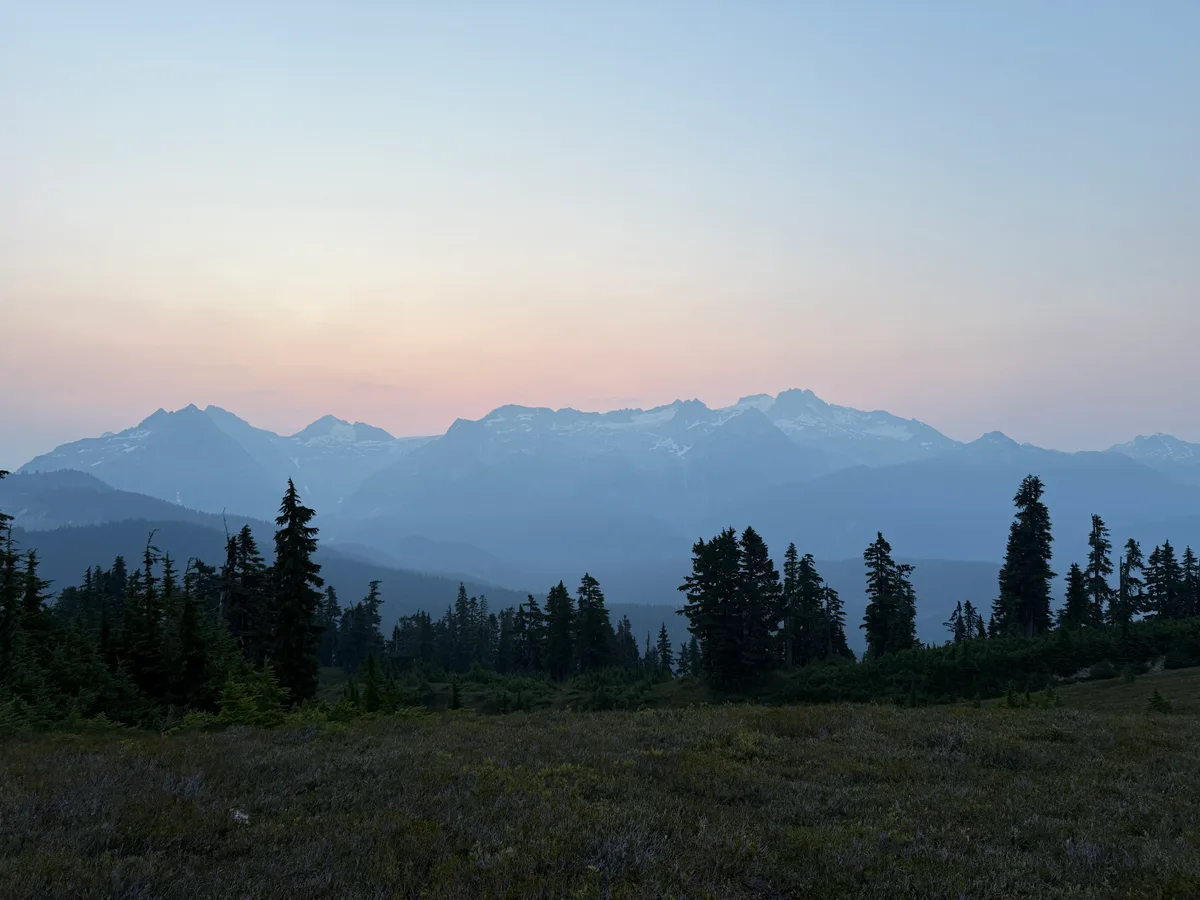 A pale pink sky above distant snowy peaks and a dark evergreen forest