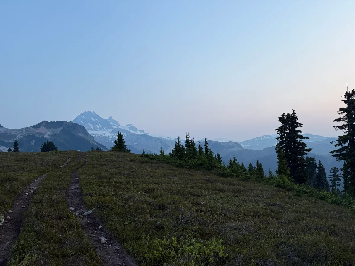 A trail across an alpine meadow with distant peaks in morning light