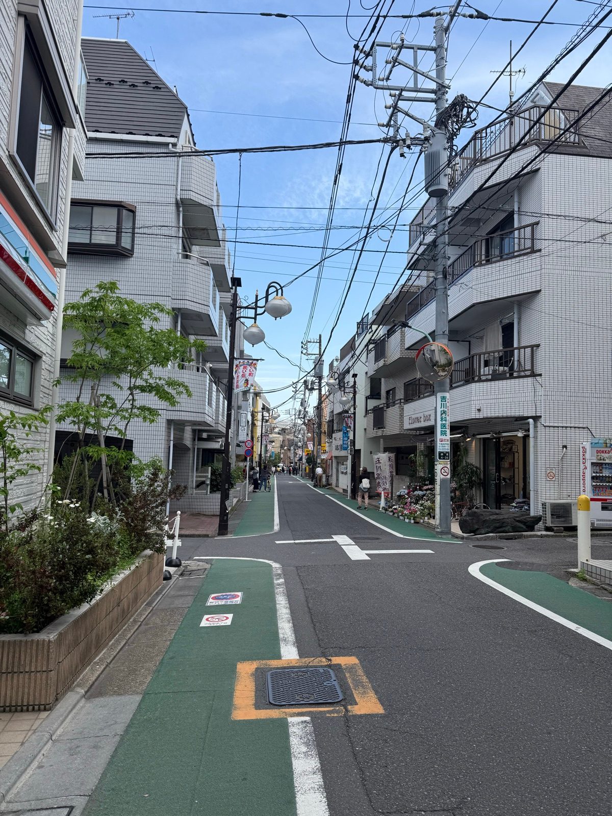 A quiet neighborhood street with green roadside lanes and overhead wires