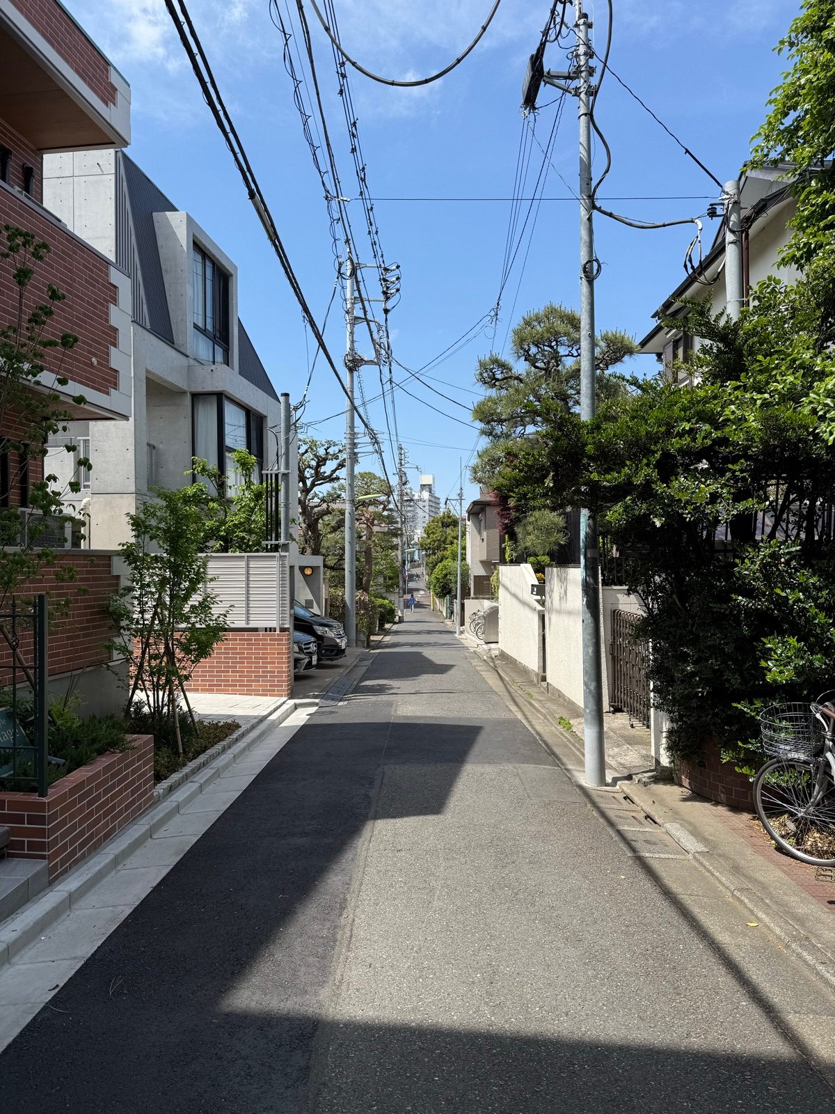 A sunny residential lane lined with homes and greenery