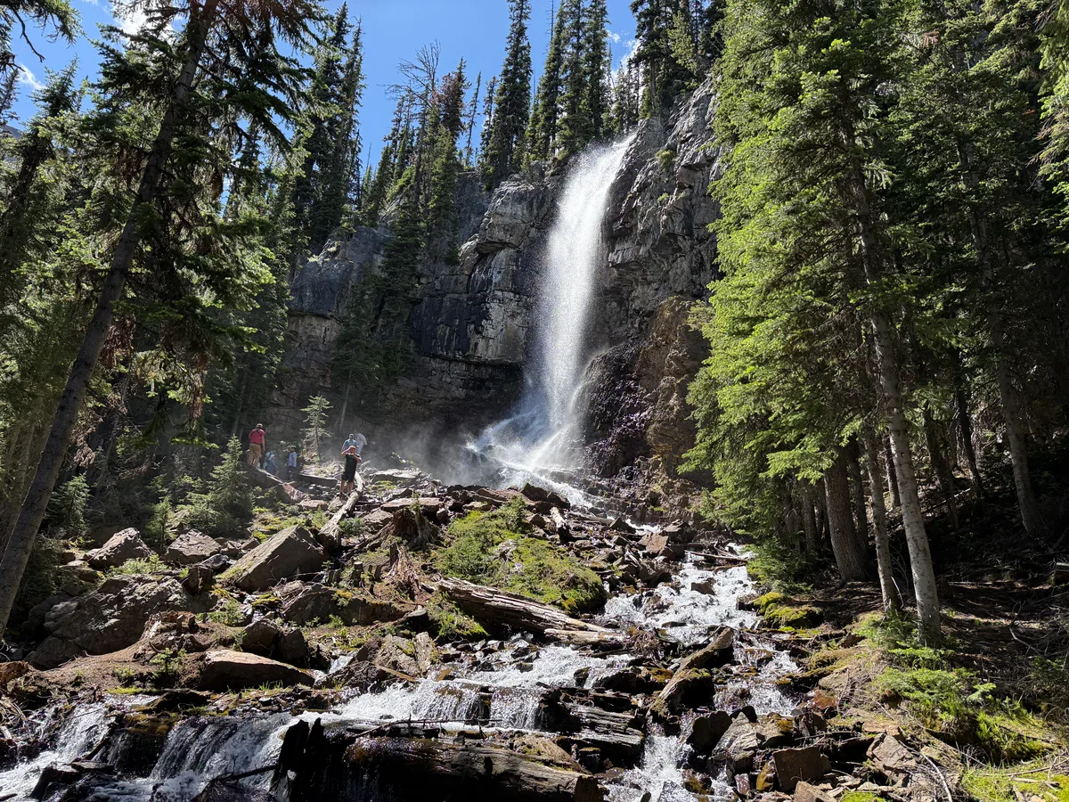 A waterfall cascading over a rocky cliff in an evergreen forest